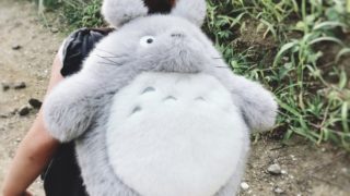 トトロのリュックを背負った2歳