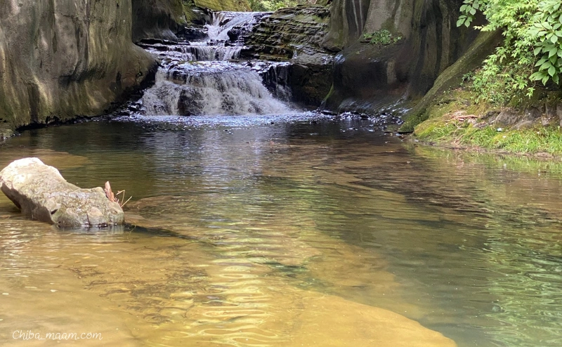 濃溝の滝の川で水遊びの様子